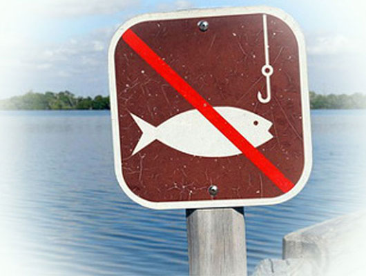 запрет на рыбалку в амурской области